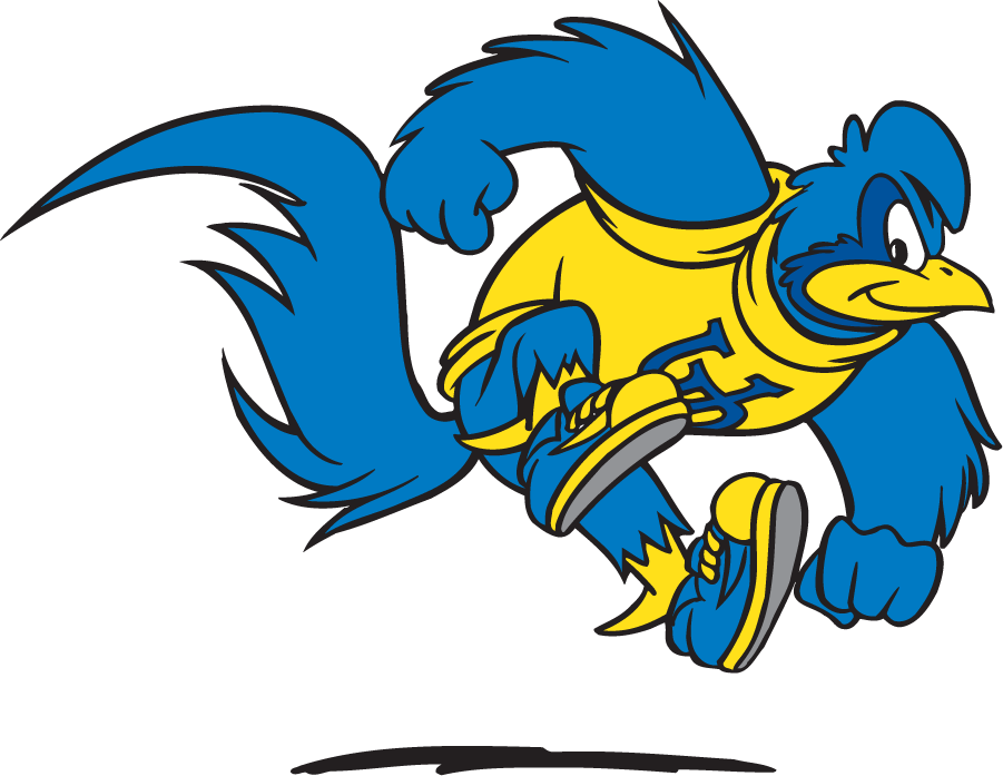 Delaware Blue Hens 1999-2009 Mascot Logo v5 iron on transfers for T-shirts